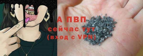 прущие грибы Няндома