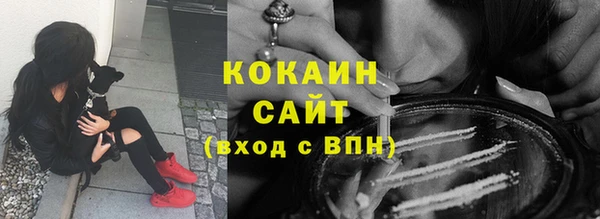 прущие грибы Няндома