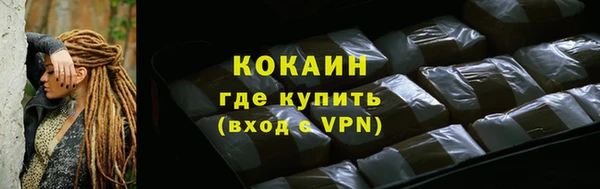 прущие грибы Няндома