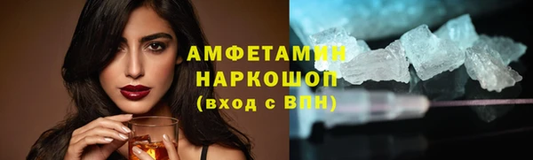 прущие грибы Няндома