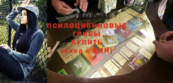 прущие грибы Няндома