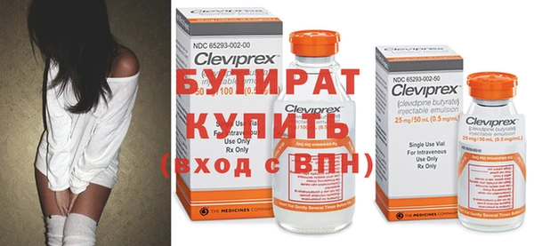 прущие грибы Няндома