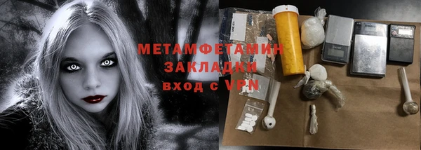 прущие грибы Няндома
