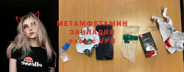 прущие грибы Няндома