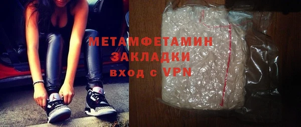 прущие грибы Няндома