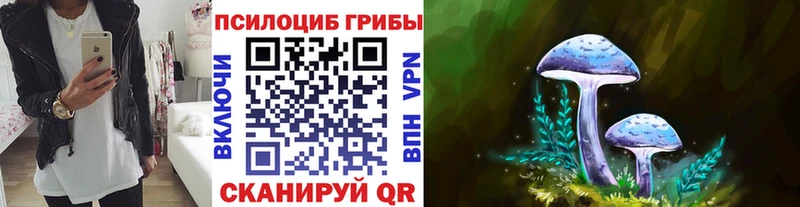 Галлюциногенные грибы прущие грибы  Купить  Кулебаки 
